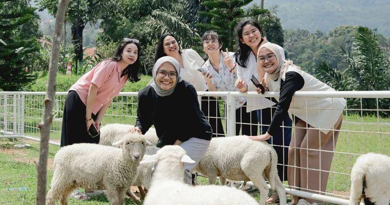 Instagram.com/Kopi.salacca